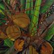 Coconuts by Norma Gay Hammons.  All Rights Reserved.