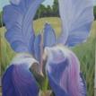 Dare to Celebrate by Sophia Dare Dentiste