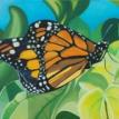 Monarch in Light by Sophia Dare Dentiste